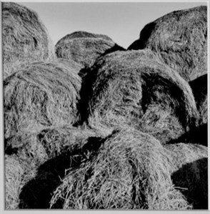 Image description is not available for 2000.015